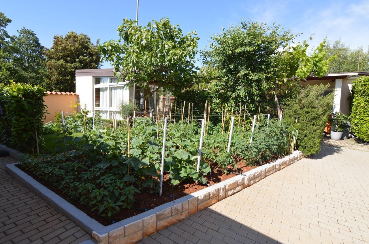Apartmani Dekovic Materada Porec Esterno foto